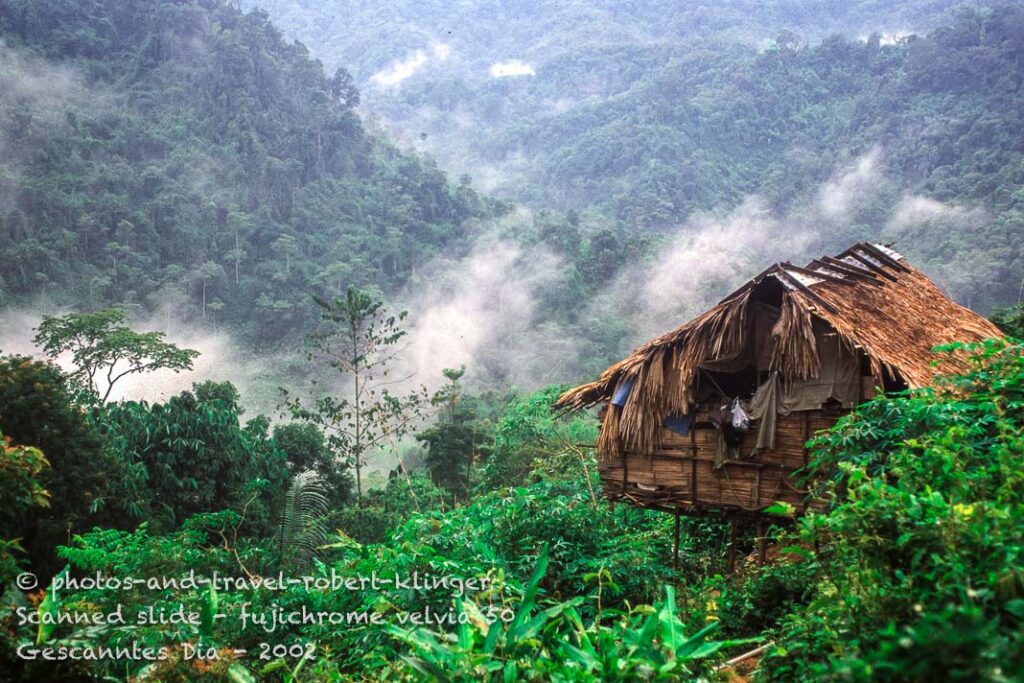 Along the road in Malaysia