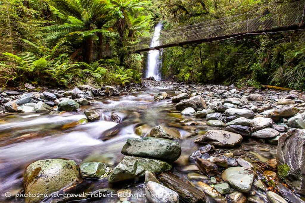 A hiking swing bridge on the hollyford track