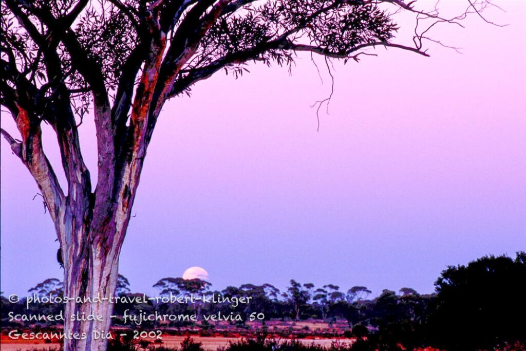 A sunset in the australian outback