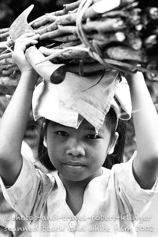 Little indonesian girl collecting wood