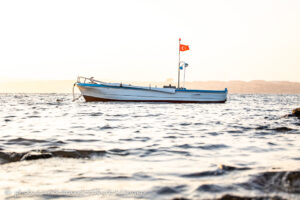 A fishing boat during sunrise in the turkish aegean sea
