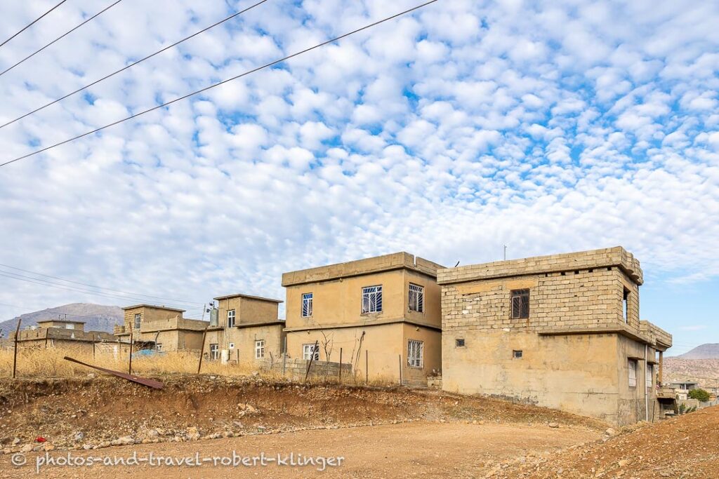 Hourses in Kurdistan along the road